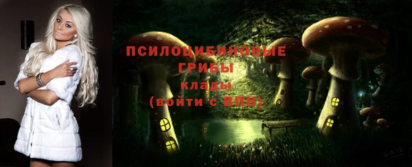 МДМА Горнозаводск