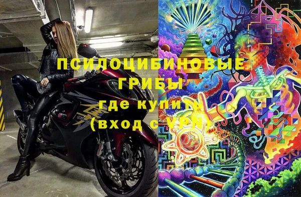 прущий лед Горно-Алтайск